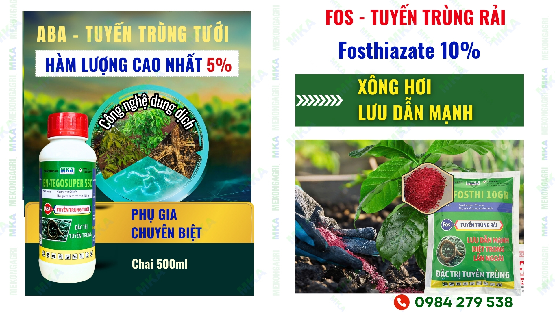 tuyến trùng rễ